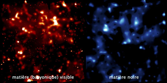 Comparaison entre la matière visible et la matière noire, à l'échelle des grandes structures de l'Univers