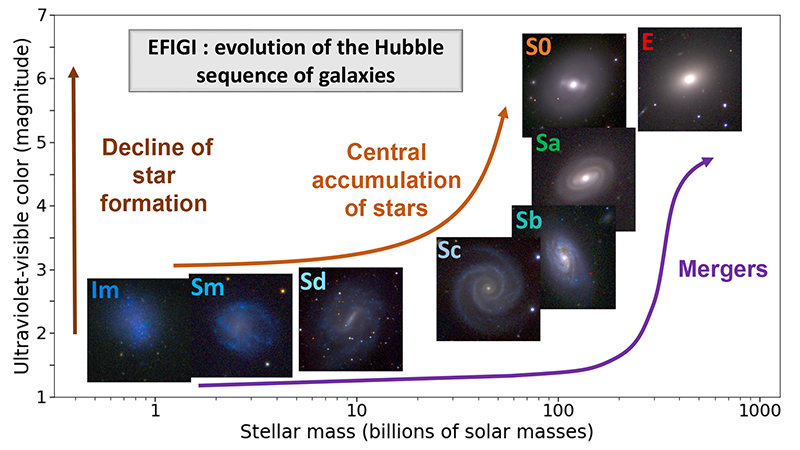 Figure 4: Distribution in color and mass of stars of the morphological types of galaxies