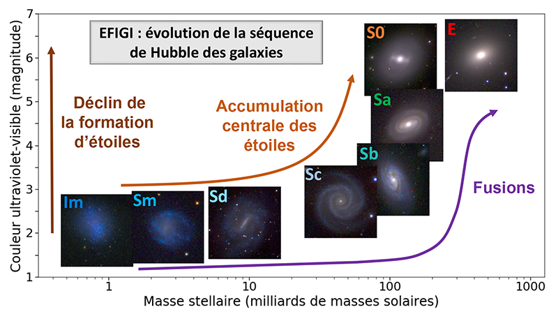 Figure 4 : Répartition en couleur et masse d'étoiles des types morphologiques de galaxies