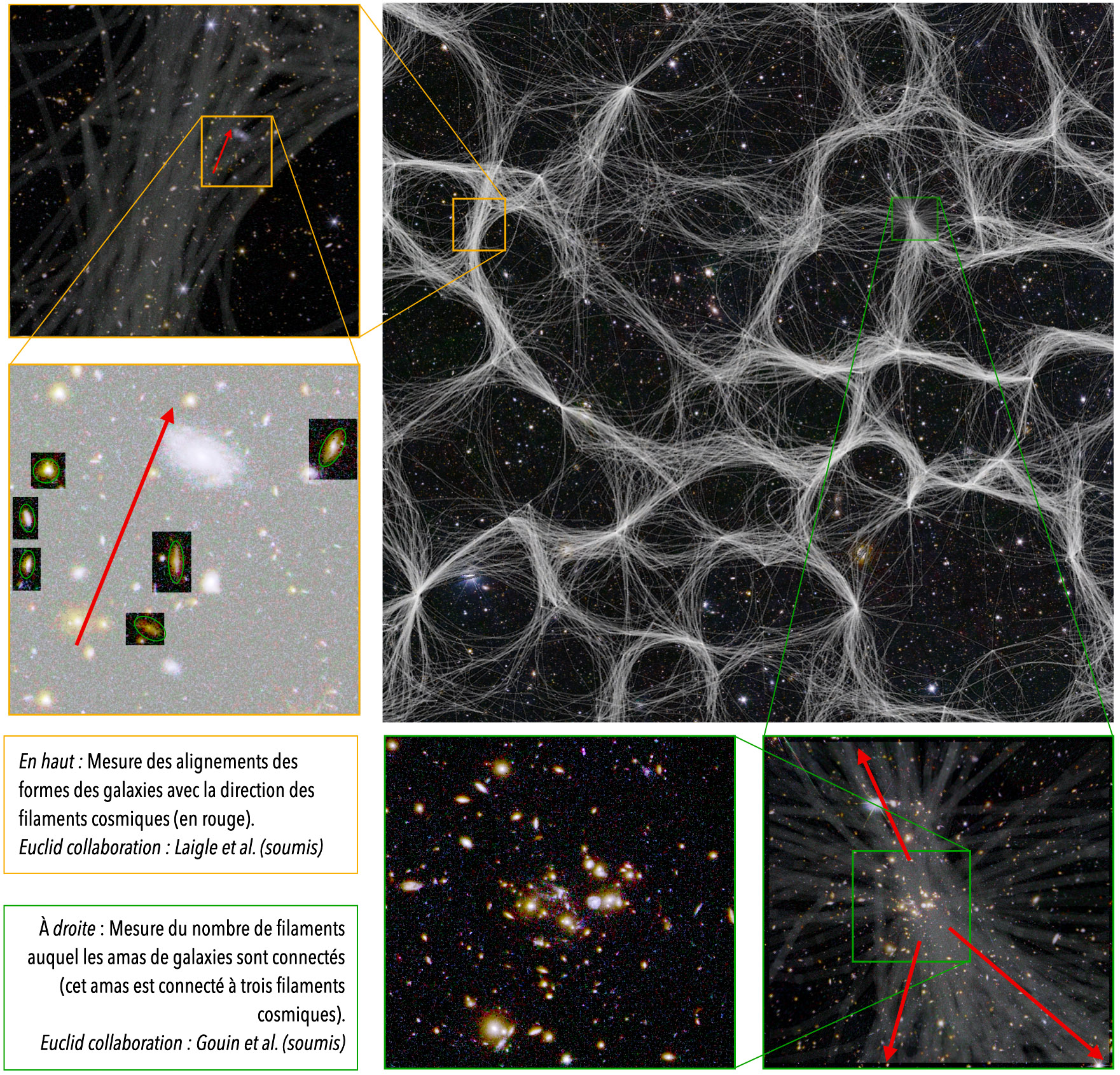 Figure 1: Une centaine de réalisations probables du tracé des filaments cosmiques en projection dans une partie du champ EDF-F sont superposées à l'image Euclid. Les panneaux de gauche et du bas illustrent deux des mesures réalisées dans le cadre des publications Q1.