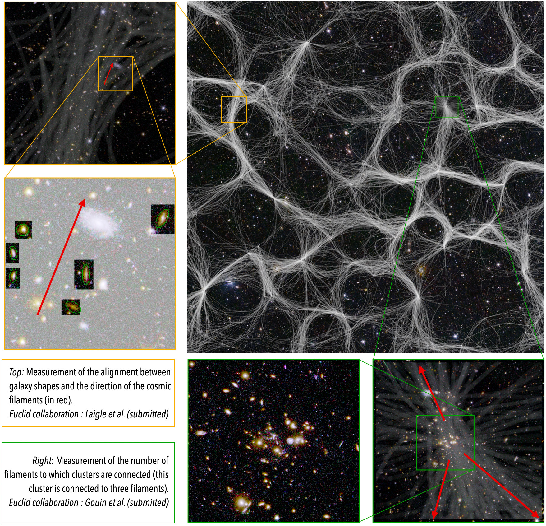 Figure 1: A hundred of likely cosmic filament distributions in projection are superimposed on the Euclid image in part of the EDF-F field. The panels on the left and bottom illustrate two of the measurements carried out as part of the Q1 publications.