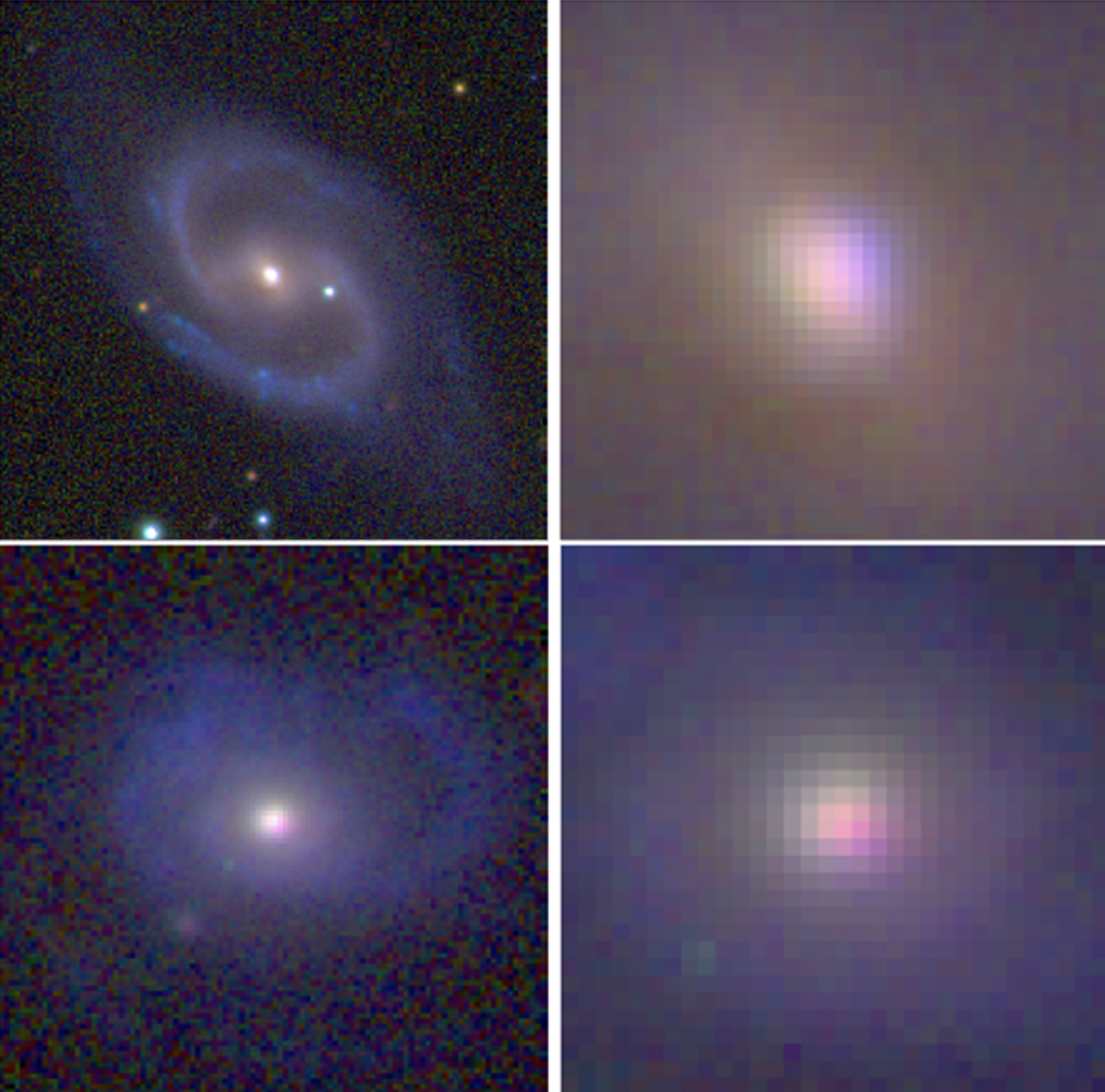 Images en couleur de deux galaxies spirales, PGC0023028 (panneaux du haut) et PGC0033792 (panneaux du bas), montrant que leurs bras spiraux sont plus bleus que leurs disques internes, et que leurs bulbes sont rouges. Pour chaque galaxie, la galaxie entière est montrée (à gauche), ainsi qu'un agrandissement de sa région centrale (à droite). Les images agrandies révèlent que les bulbes présentent également des variations de couleur, interprétés comme un rougissement et une diffusion de la lumière du bulbe par des nuages de gaz poussiéreux en chute vers le centre des galaxies. Figure 2 : Images en couleur de deux galaxies spirales, PGC0023028 (panneaux du haut) et PGC0033792 (panneaux du bas), montrant que leurs bras spiraux sont plus bleus que leurs disques internes, et que leurs bulbes rouges. Pour chaque galaxie, la galaxie entière est montrée (à gauche), ainsi qu'un agrandissement de sa région centrale (à droite). Les images agrandies révèlent que les bulbes présentent également des variations de couleur, interprétés comme un rougissement et une diffusion de la lumière du bulbe par la chute de nuages de gaz poussiéreux.