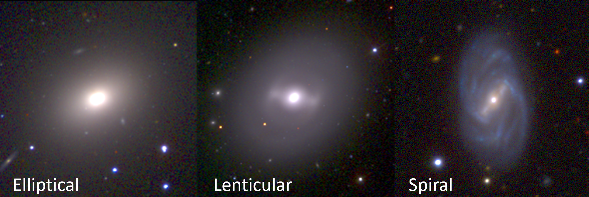 The three major morphological types of the Hubble sequence: elliptical, lenticular, spiral. Lenticulars and spirals have a central dense bulge and a surrounding disk, whereas ellipticals are dominated by a bulge-like component. Figure 1: The three major morphological types of the Hubble sequence: elliptical, lenticular, spiral. Lenticulars and spirals have a central dense bulge and a surrounding disk, whereas ellipticals are dominated by a bulge-like component.