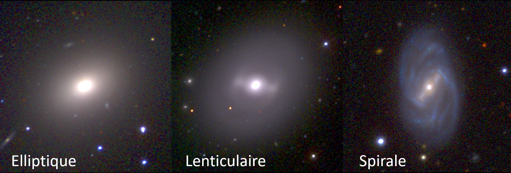 Les trois principaux types morphologiques de galaxies de la séquence de Hubble : elliptique, lenticulaire et spirale. Les galaxies lenticulaires et spirales possèdent un bulbe central dense entouré d'un disque, tandis que les galaxies elliptiques sont dominées par une composante analogue à un bulbe. Figure 1 : Les trois principaux types morphologiques de galaxies de la séquence de Hubble : elliptique, lenticulaire et spirale. Les galaxies lenticulaires et spirales possèdent un bulbe central dense entouré d'un disque, tandis que les galaxies elliptiques sont dominées par une composante analogue à un bulbe.